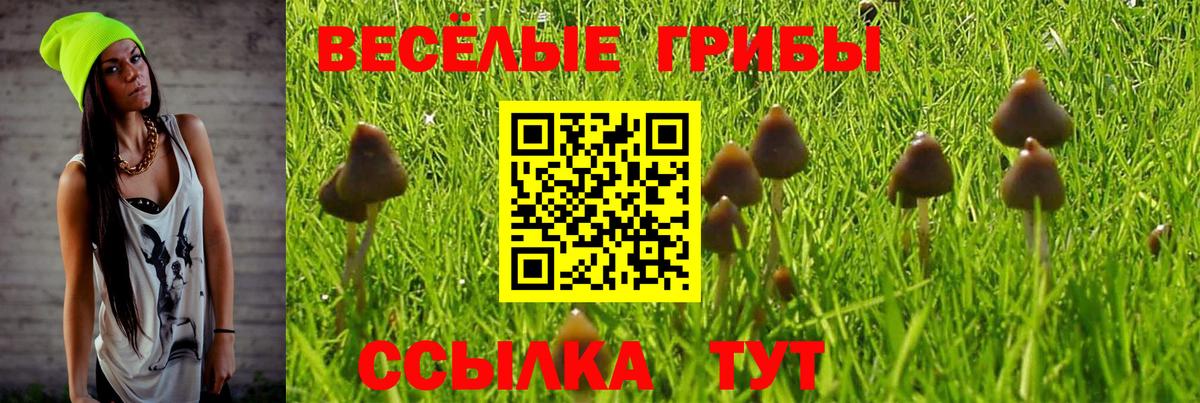 Галлюциногенные грибы мицелий Гай