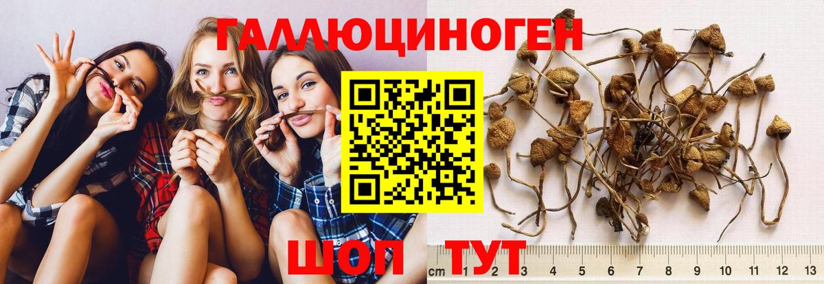 Псилоцибиновые грибы Cubensis  Вход с VPN  Галлюциногенные грибы GOLDEN TEACHER  Гай 